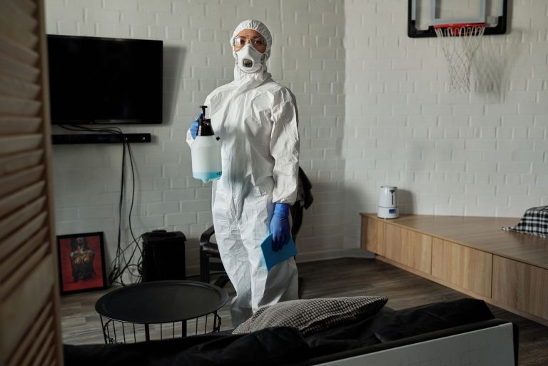 How to Book Next-Day House Cleaning in Lviv with CleanWhale