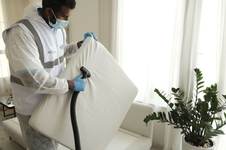 How to Choose the Best Mattress Cleaning Service in Lviv with CleanWhale