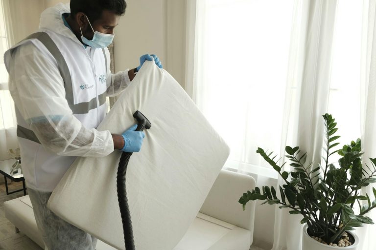 Expert Mattress Cleaning Services in Lviv: Why CleanWhale is Your Best Choice