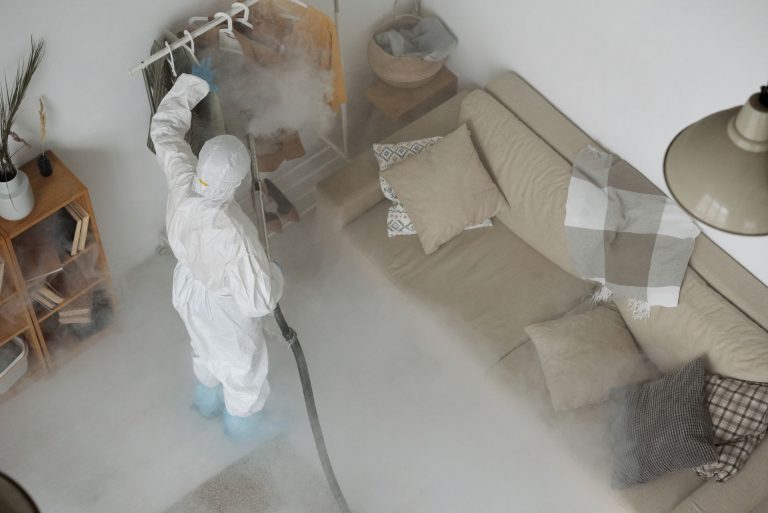 Доступне прибирання у Львові: Як обрати найкращі послуги від CleanWhale